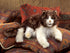 FOLKMANIS PUPPETS - Ragdoll Cat Puppet